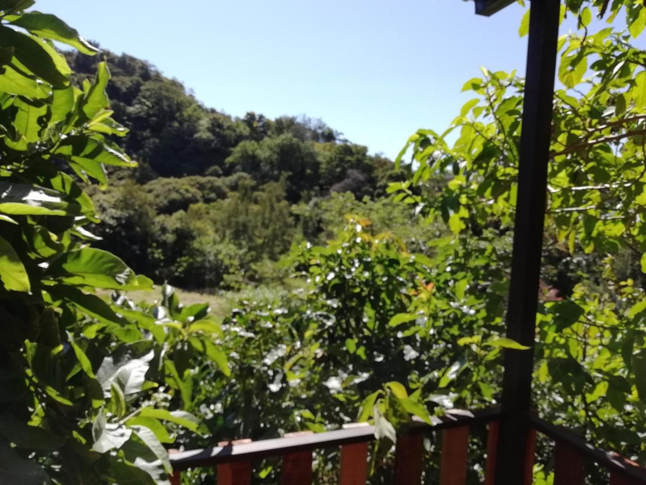 La Guayaba Monteverde Extérieur photo