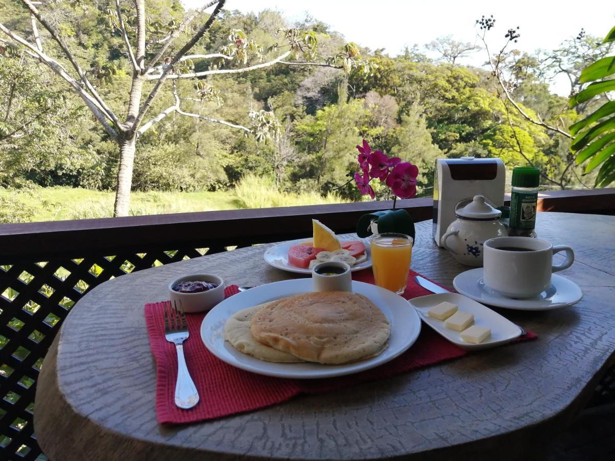 Bed and breakfast La Guayaba Monteverde Extérieur photo